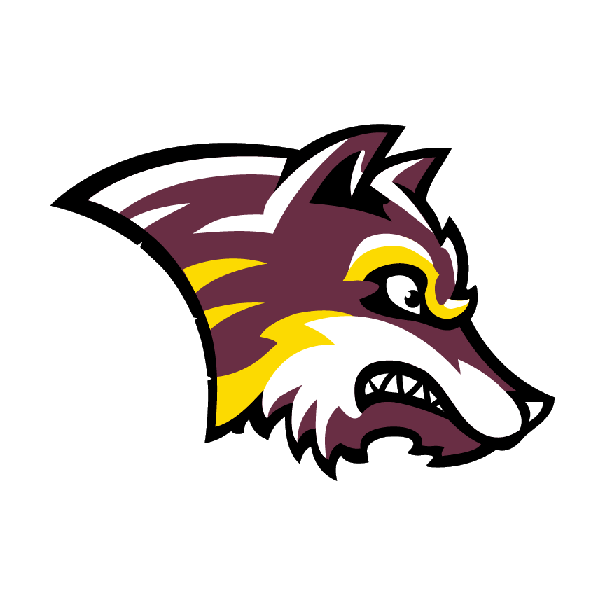 Wolf Mascot